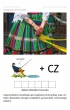 Polskie miasta. Karty pracy z tekstami do czytania ze zrozumieniem dla uczni�w ze specjalnymi potrzebami edukacyjnymi