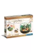 Harry Potter terrarium 19248