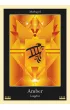 Liquid Crystal Oracle