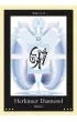 Liquid Crystal Oracle