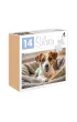 Puzzle 12 el. Pies Silver Alexander