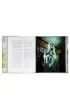 Harry Potter i Komnata Tajemnic. Harry Potter. Tom 2. Wydanie ilustrowane