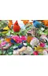 Puzzle 500 el. 2D Ptaki ogrodowe Ravensburger