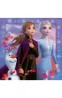 Puzzle 3x49 el. Frozen 2 Ravensburger