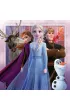 Puzzle 3x49 el. Frozen 2 Ravensburger