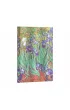 Paperblanks Van Gogh`s Irises Notes Van Gogh`s Irises Midi linia