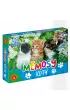 Memosy. Koty Alexander