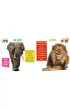 Weso�e zoo