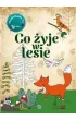 Pakiet Maego Odkrywcy: Mj pierwszy atlas wiata, Co yje w lesie. Kolorowanka, Jakie to flagi?
