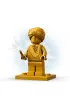 LEGO Harry Potter Hogwart™: Pierwsza lekcja latania 76395