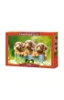 Puzzle 500 el. Cute Dachshunds Castorland