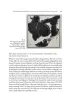 The Artistic Traditions of Non-European Cultures, vol. 11/12