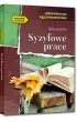 Syzyfowe prace