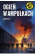 Ogień w ampułkach – Karol  Ner – okładka ebook