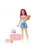 Barbie Skipper Zestaw opiekunka HJY33 Mattel