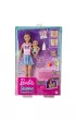 Barbie Skipper Zestaw opiekunka HJY33 Mattel