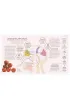 Science of Flavour