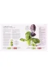 Science of Flavour