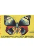 Vintage Matchboxes