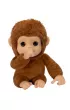Little Live Pets - Moja mapka Mango Cobi