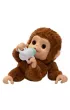 Little Live Pets - Moja mapka Mango Cobi