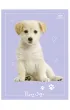 Interdruk Zeszyt do s��wek A6 70g UV Puppy Sign kratka 32 kartki