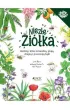 Niez�e zi�ka