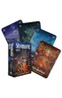 Shamanic Oracle, karty do wr�enia