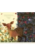 The Fawn Who Chased the Sun