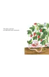 Pomelo wyrusza za mur ogrodu