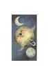 Tarot of the Little Prince, karty do wr�enia