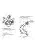 26-pi�trowy domek na drzewie. Domek na drzewie. Tom 2