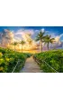 Puzzle 3000 el. C-300617-2 Colorful Sunrise in Miami, USA Castorland