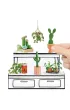 MGA's Miniverse - Make It Mini Botanicals Mga Entertainment