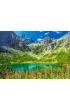 Puzzle 1000 el. Zelene Pleso, Tatras, Slovakia Castorland