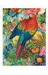 Puzzle 1000 el. Nature Montages Paperblanks