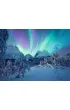Puzzle 1500 el. Arktyczna magia Ravensburger