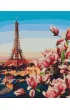 Twoje Hobby Malowanie po numerach - Paryskie Magnolie 40x50cm