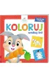 Disney Maluch koloruj wed�ug linii COLN-9201