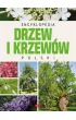 Encyklopedia drzew i krzew�w Polski