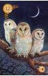Celtic Lenormand, karty do wr�enia