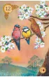 Celtic Lenormand, karty do wr�enia