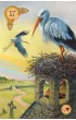Celtic Lenormand, karty do wr�enia