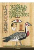 Egyptian Sacred Animals Oracle Cards, Wyrocznia �wi�tych Zwierz�t Egiptu