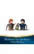 LEGO Harry Potter Aragog w Zakazanym Lesie™ 76434