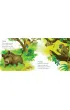 Zoo