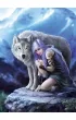 Puzzle 1000 el. Protector Anne Stokes Clementoni