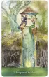 Tree Keepers Oracle