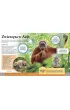 Encyklopedia �rodowiska naturalnego