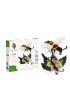 Origami 3D. 2w1 Motyl, Pszczo�a Alexander